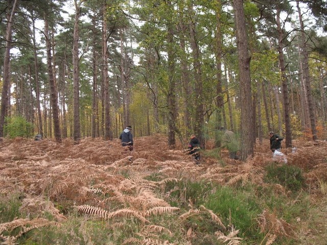 2007-11-Mycologie au poteau des Quenouilles